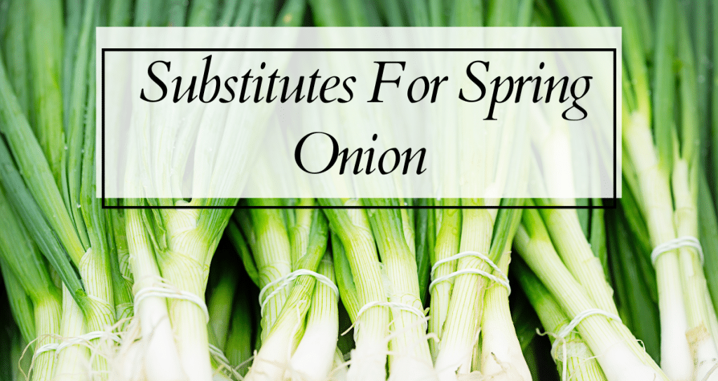 substitutes for spring onion